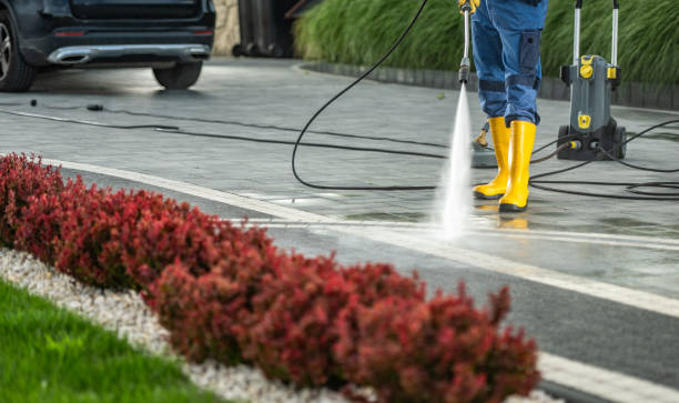 Best Roof Power Washing Services  in Pilot Mountain, NC