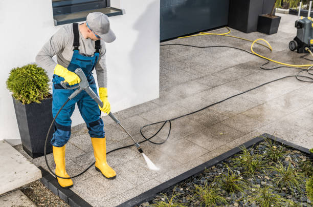 Best Power Washing Near Me  in Pilot Mountain, NC